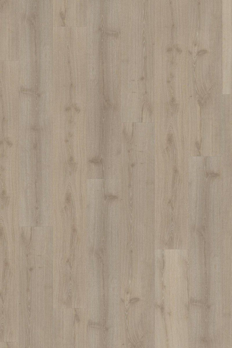 SPC Impression Dovecot 6mm