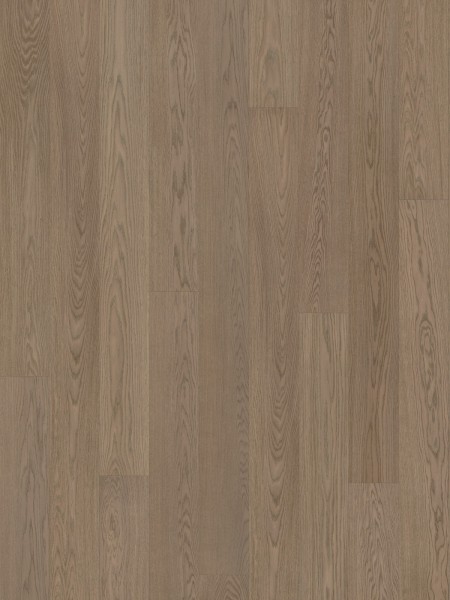 Dusumea Stejar Soft Grey