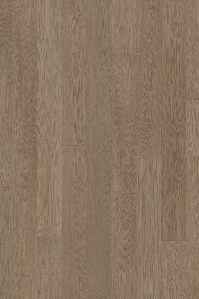 Dusumea Stejar Soft Grey