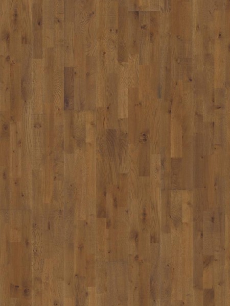 Parchet triplustratificat Stejar Backa