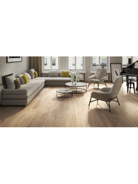 Stejar Biscuits Grande