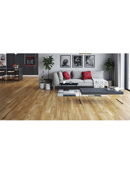 Stejar Conchi Piccolo