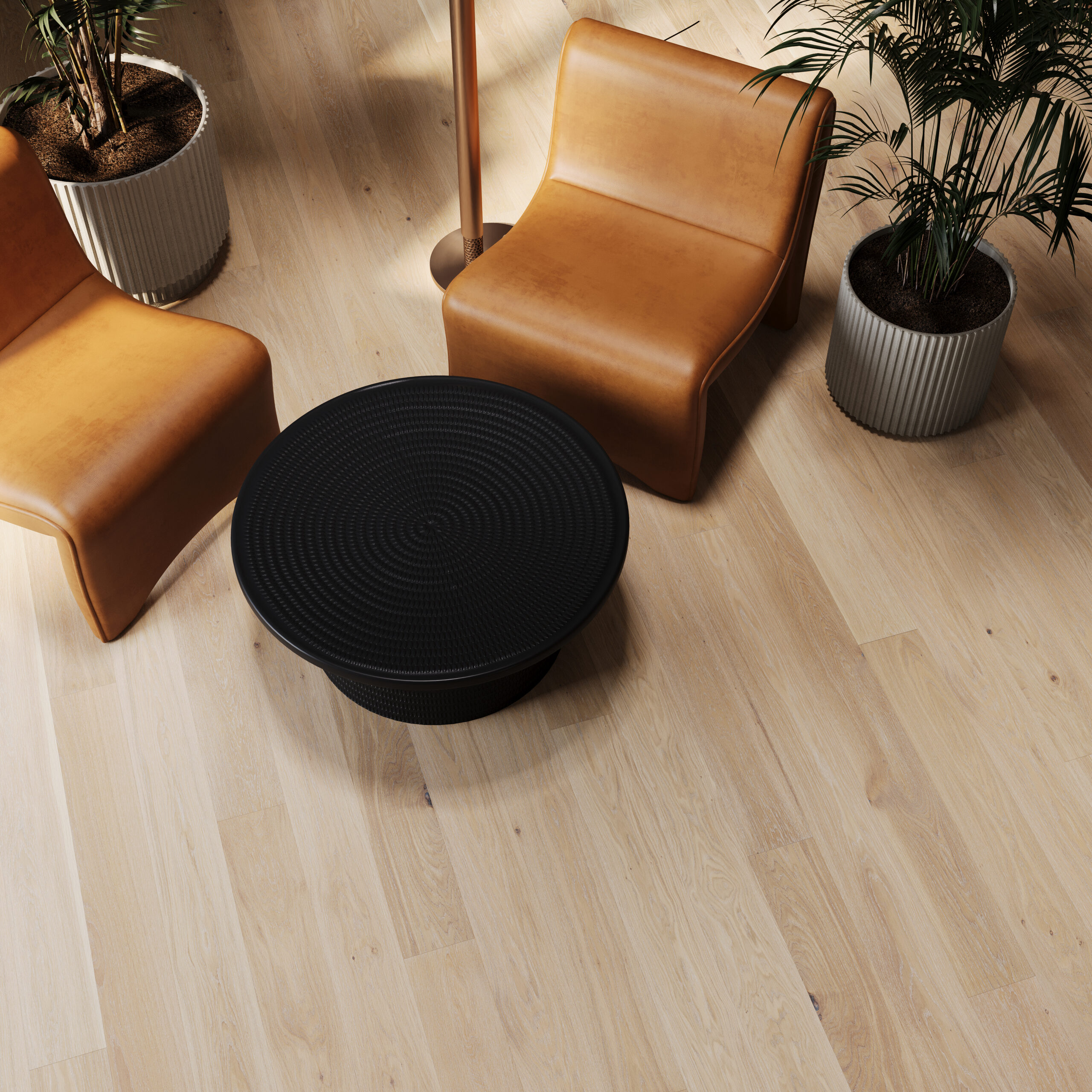 Stejar Pudding Grande