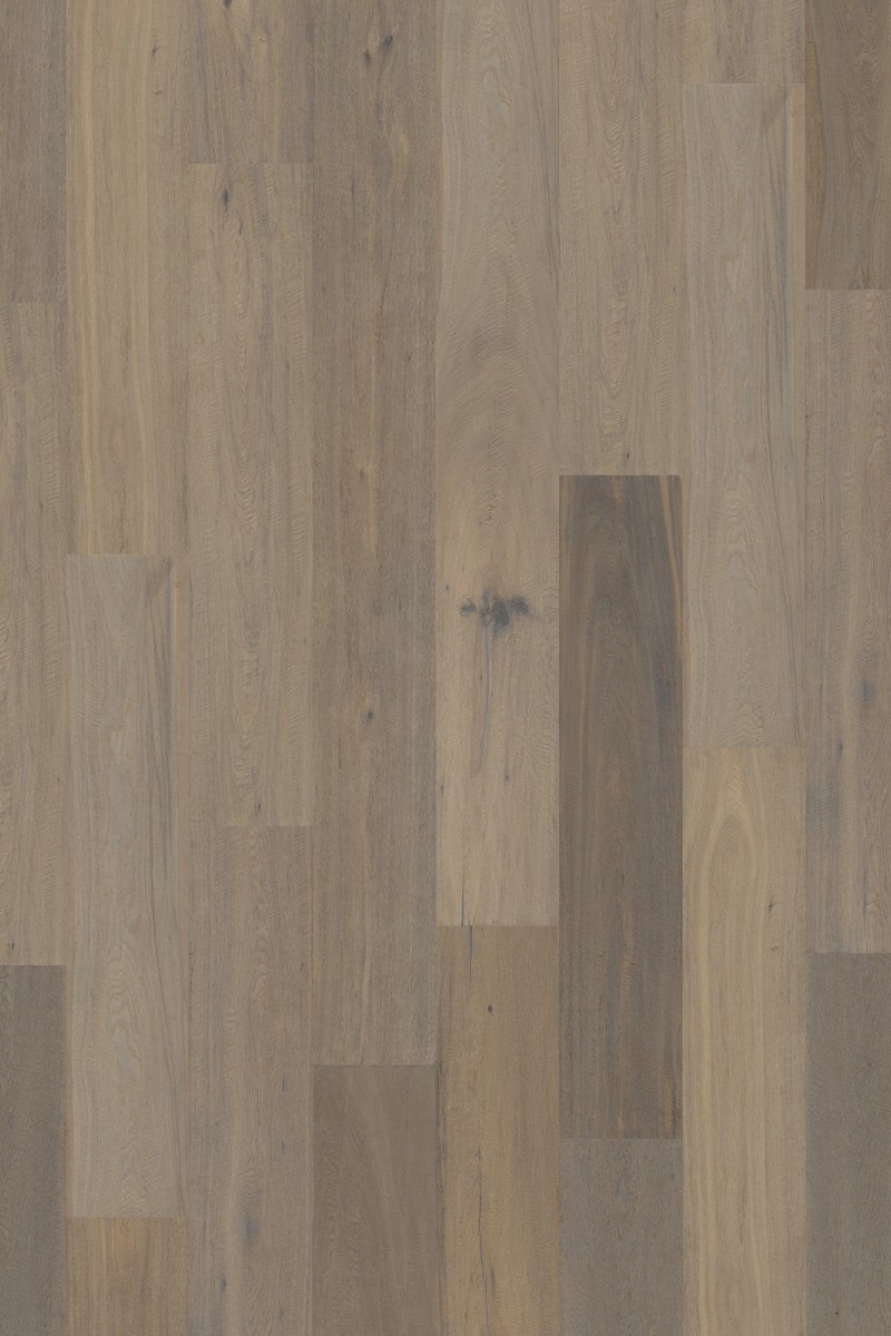 Dusumea Stejar Citadelle