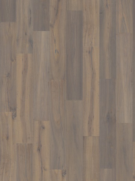 Dusumea Stejar Espace