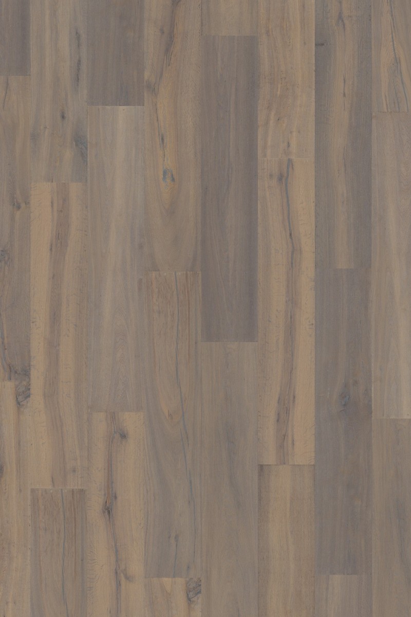 Dusumea Stejar Espace