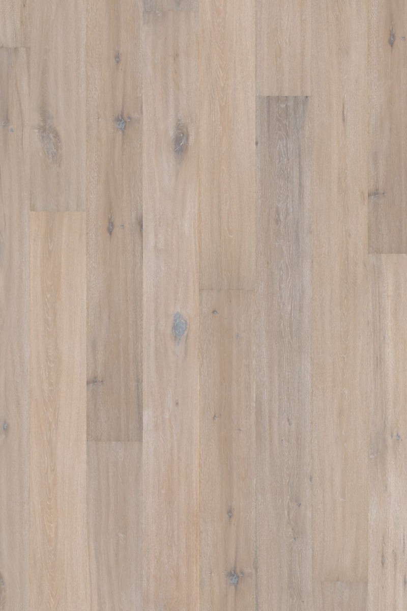 Dusumea Stejar Manor