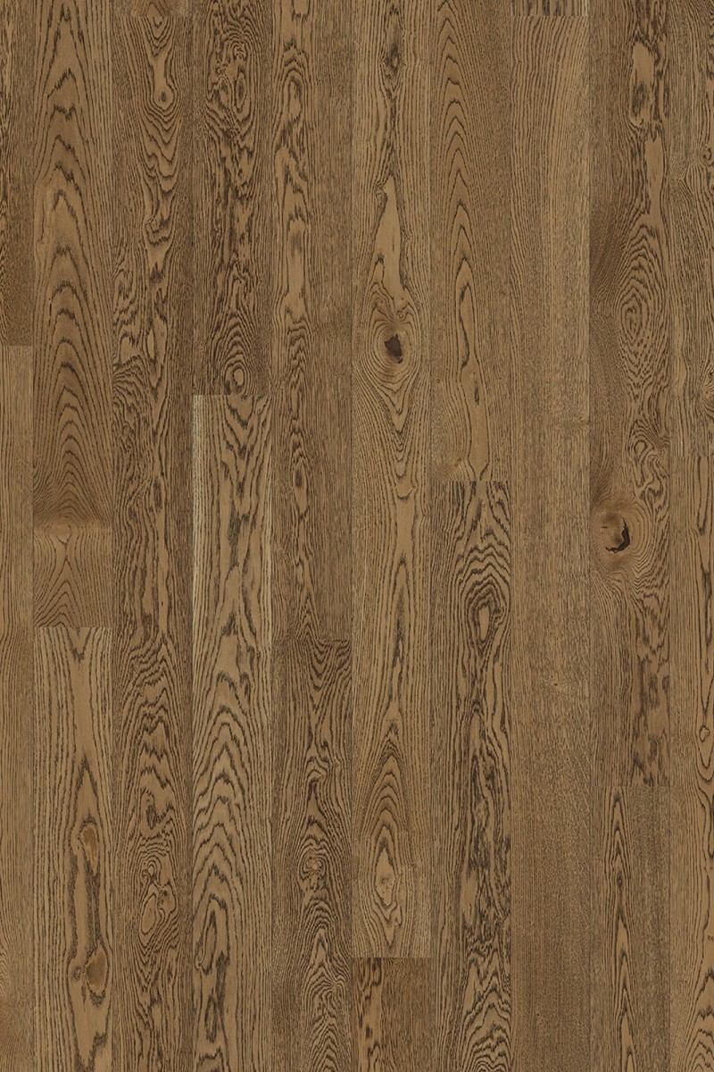 Dusumea Stejar Story Presence