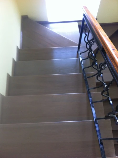 Scara Stejar finisata Wenge