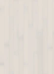 Dusumea Fag Opaque