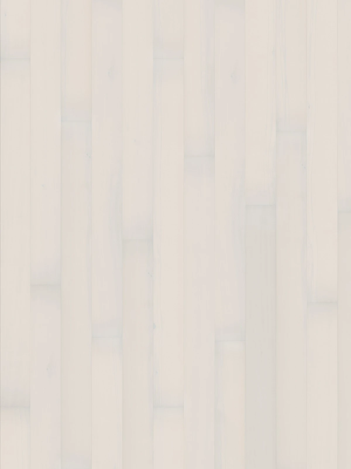 Dusumea Fag Opaque