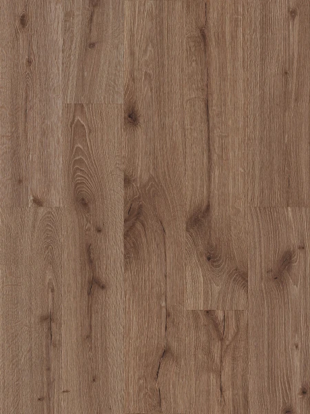 SPC Stejar Coffee 6mm