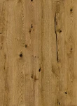 Stejar Biscotti Grande