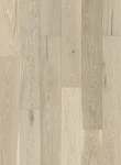 Stejar Grissini Grande