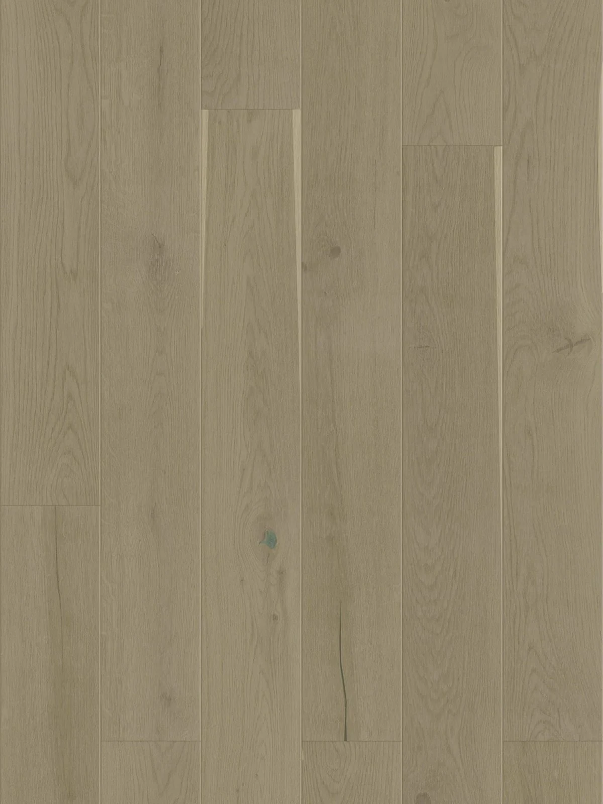 Stejar Nude Grande