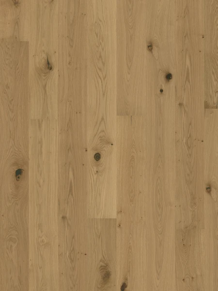 Parchet triplustratificat Stejar Aster uleiat