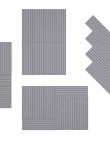 Placi decorative beton LACERTA