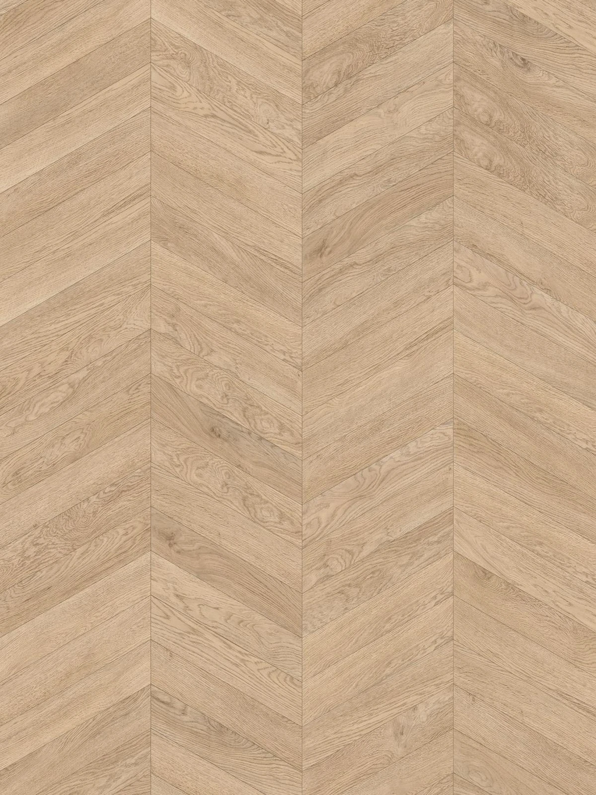 SPC Vision 6mm Chevron