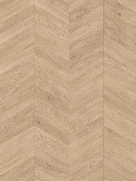 SPC Vision 6mm Chevron
