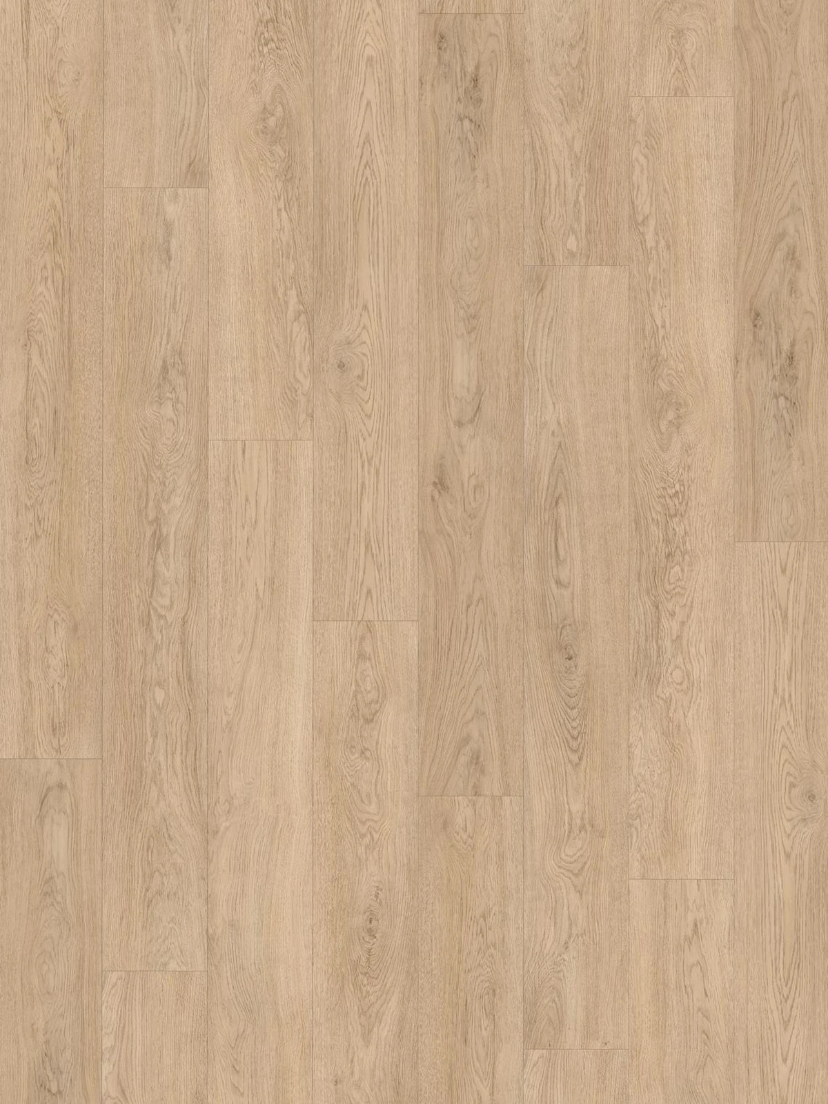 SPC Vision 6mm Long Pank