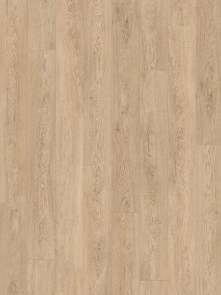 SPC Vision 6mm Long Pank