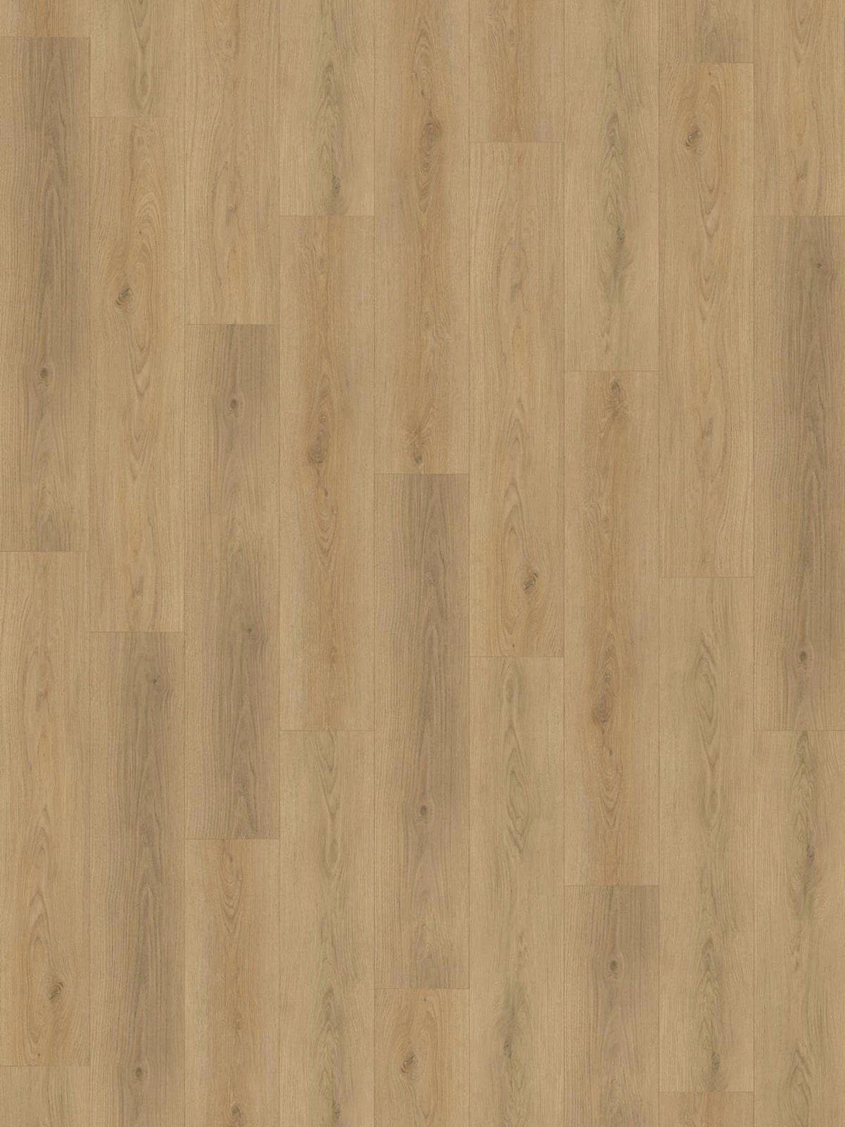 SPC Palomino 5mm