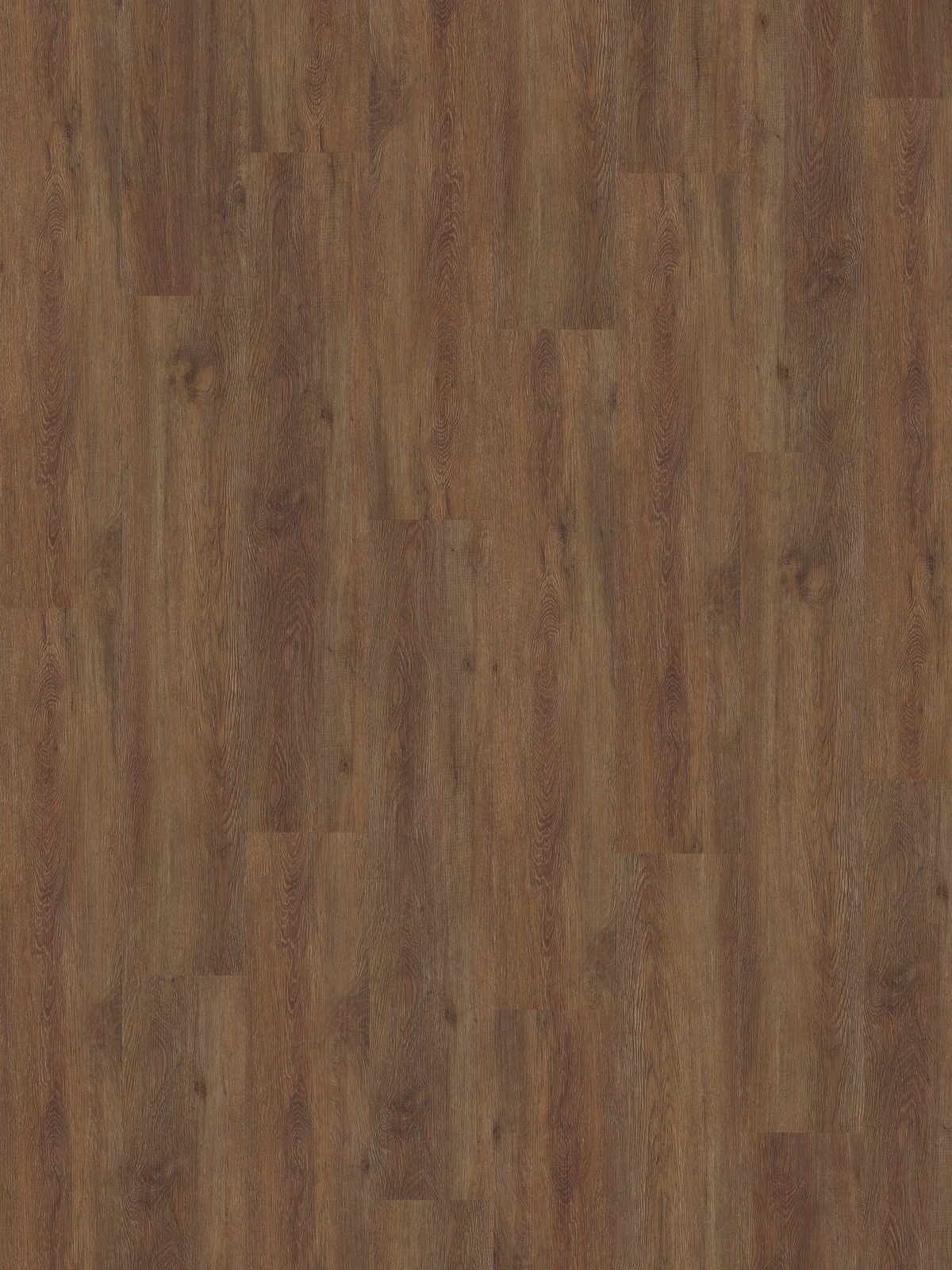 SPC Belluno 5mm