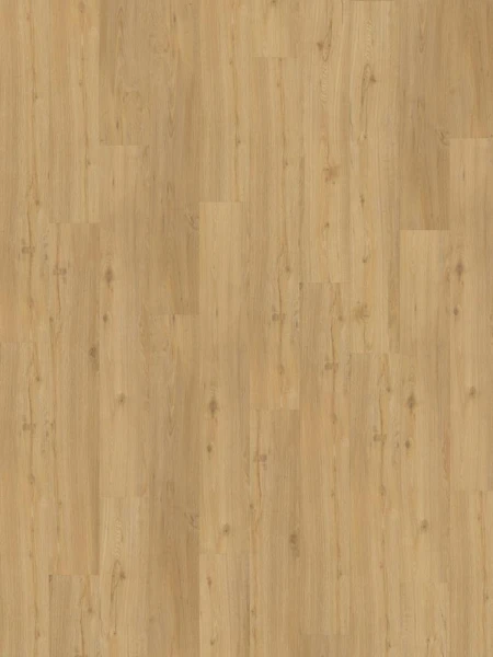 SPC Oulanka 5mm
