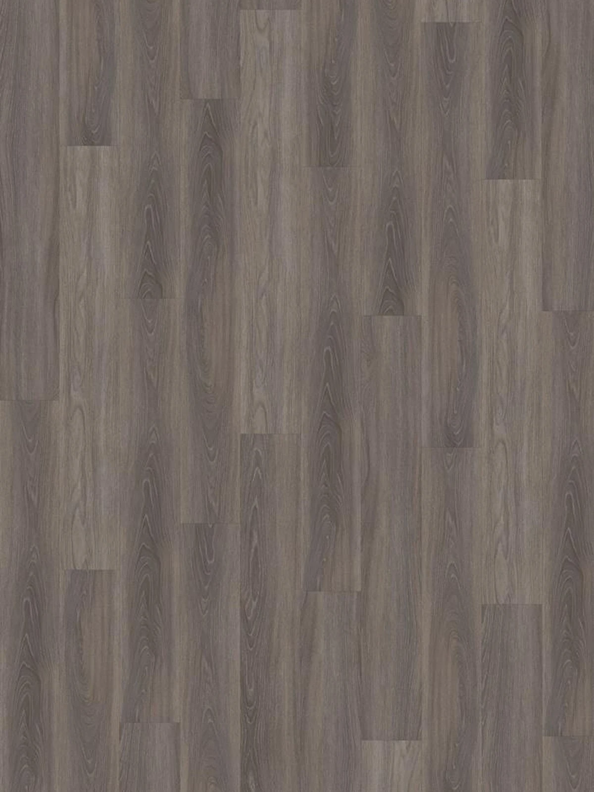 SPC Wentwood 5mm