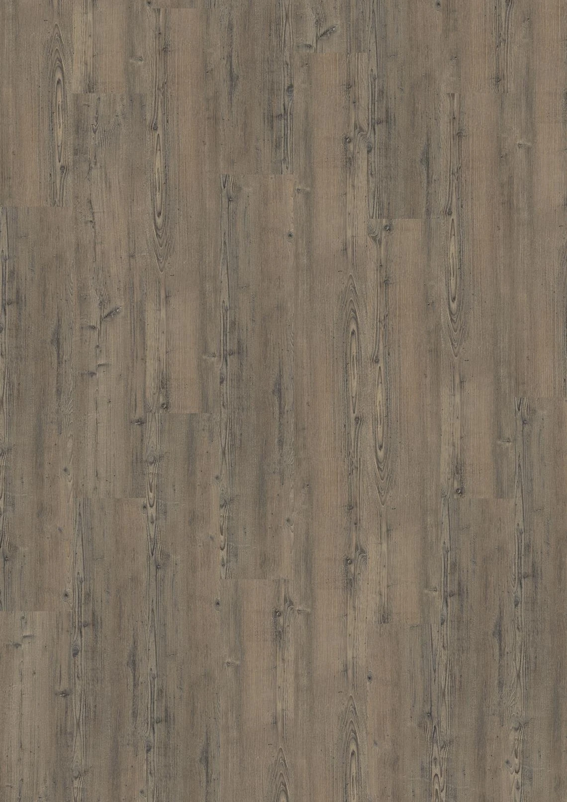 SPC Lacandon 6mm