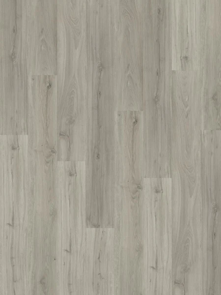 SPC Impression Laponia 6mm
