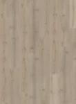 SPC Impression Dovecot 6mm