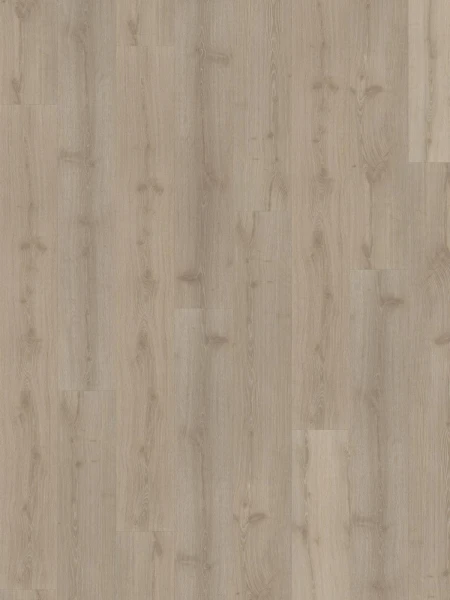 SPC Impression Dovecot 6mm