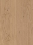 Parchet Hibrid Oak Pirin