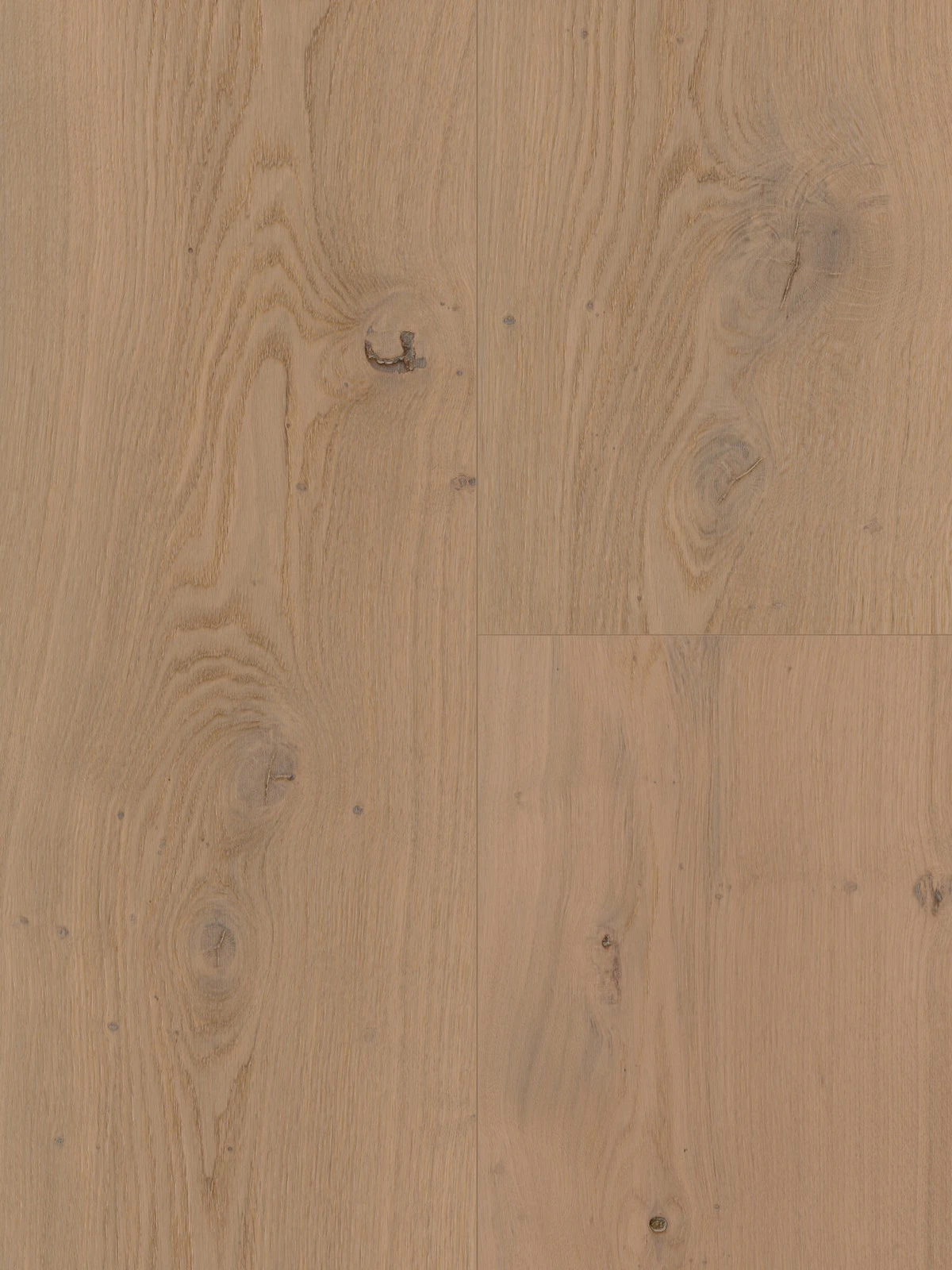 Parchet Hibrid Oak Nieuw Land