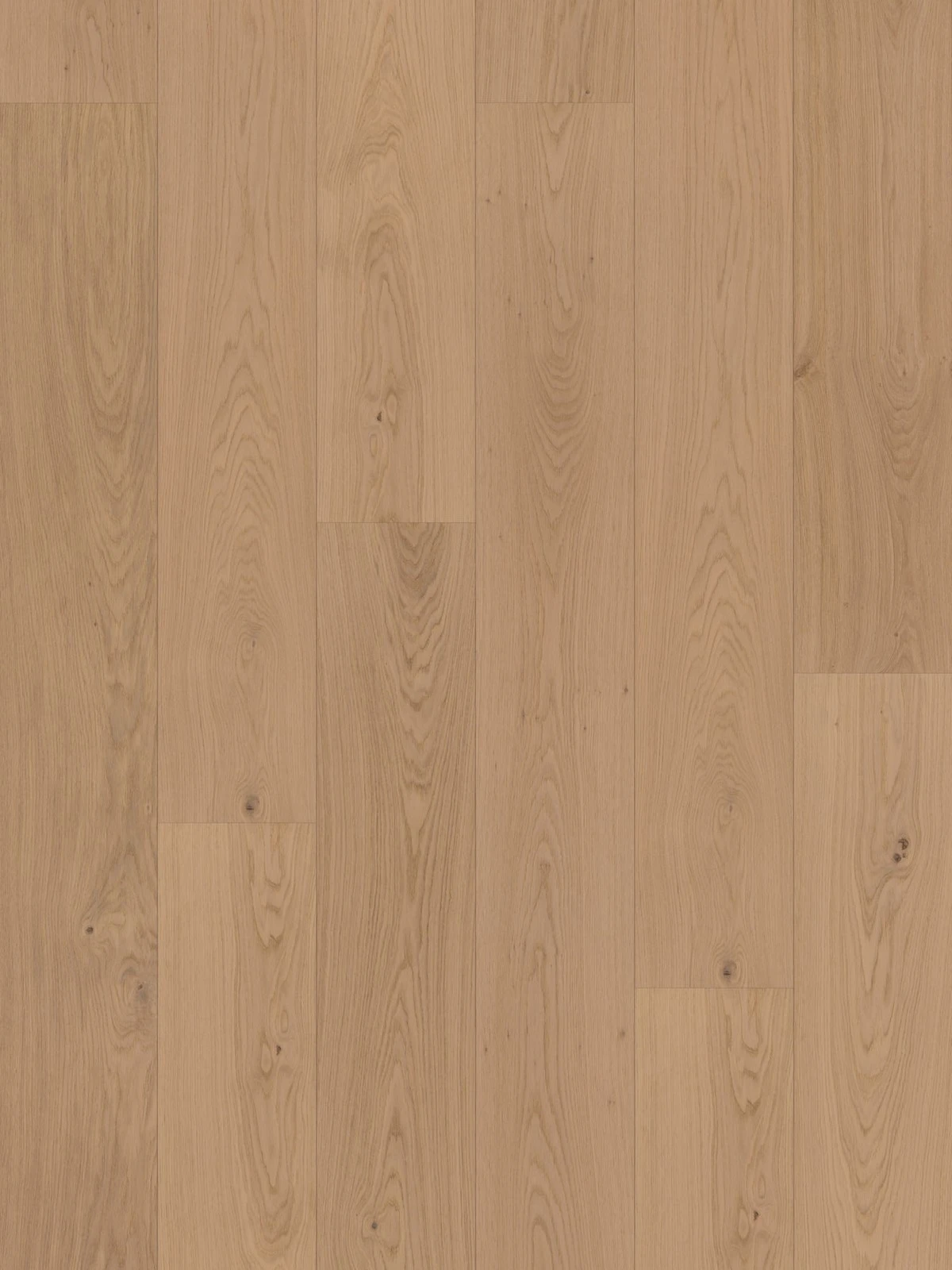 Parchet Hibrid Oak Pirin