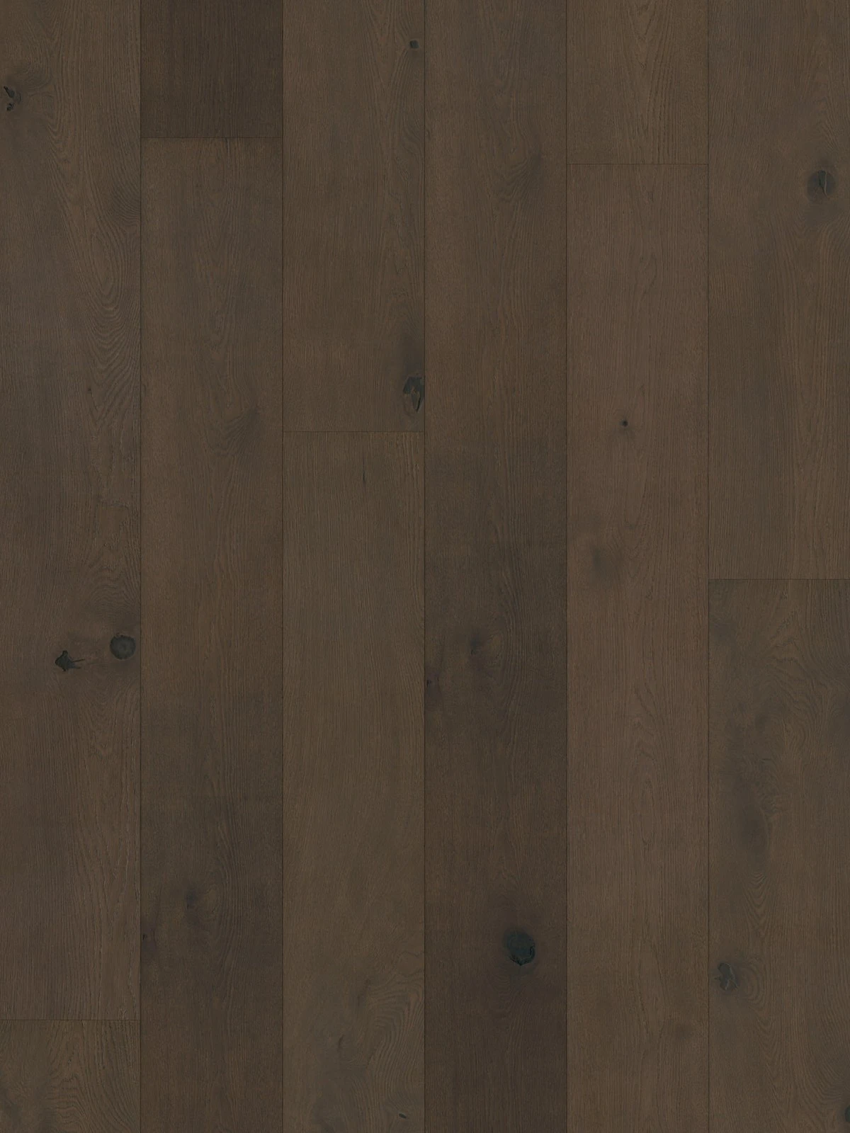 Parchet Hibrid Oak Sumava
