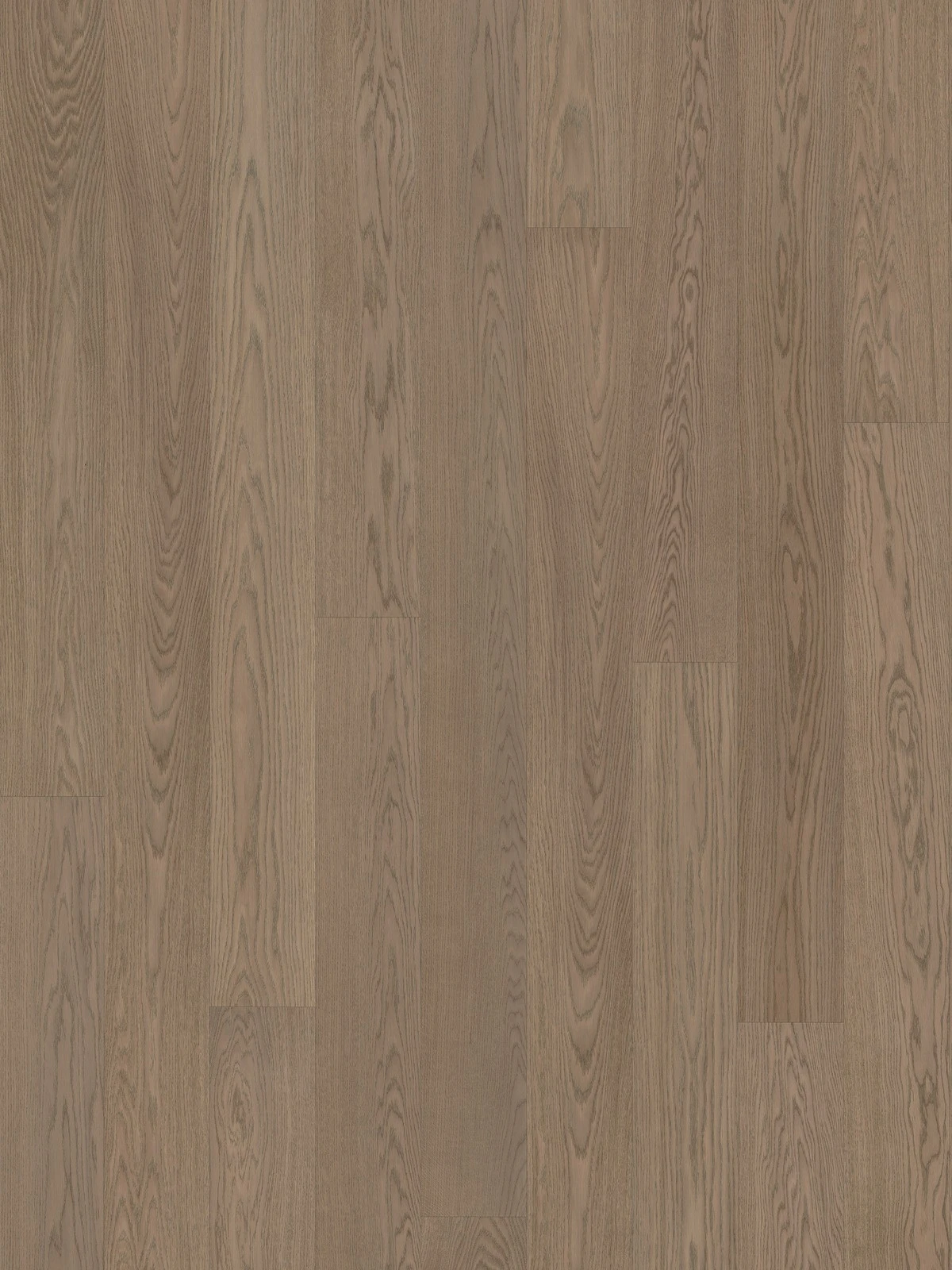 Dusumea Stejar Soft Grey