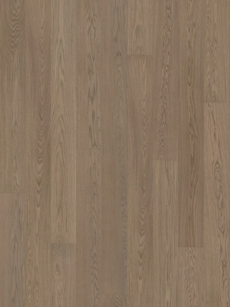 Dusumea Stejar Soft Grey