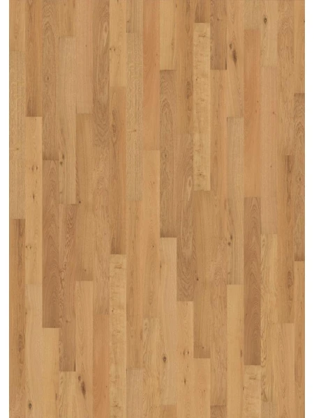 Parchet dublustratificat Stejar Natural CD