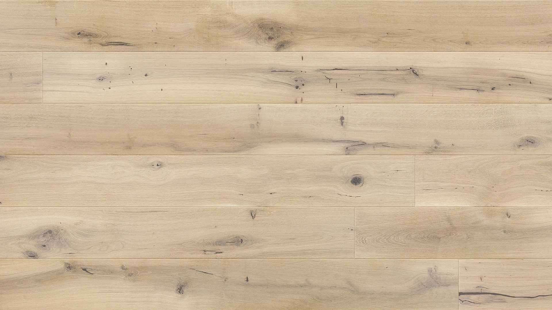 Stejar Ivory Grande
