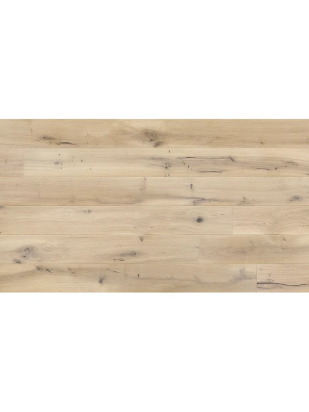 Stejar Ivory Grande