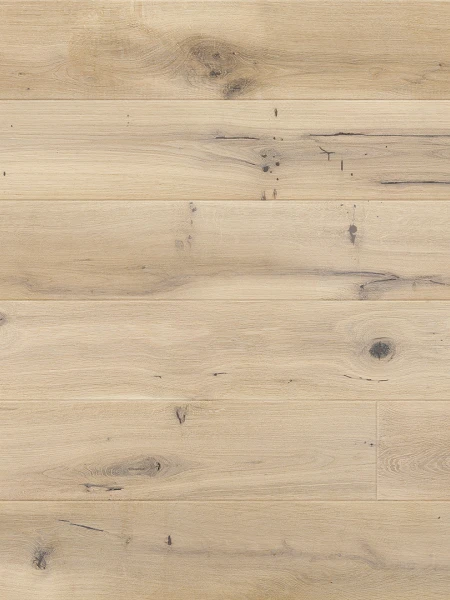 Stejar Ivory Grande