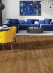 Stejar Azores Medio