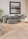 Stejar Cappuccino Grande
