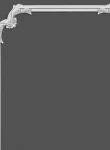 Brau decorativ din polimer rigid B17 - 4.2x1.7x200 cm